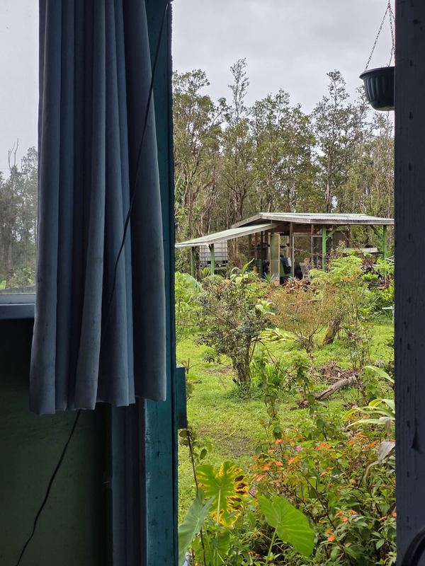Looking out from the cabin to the yard