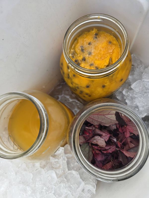 Passionfruit juice and hibiscus for making cream