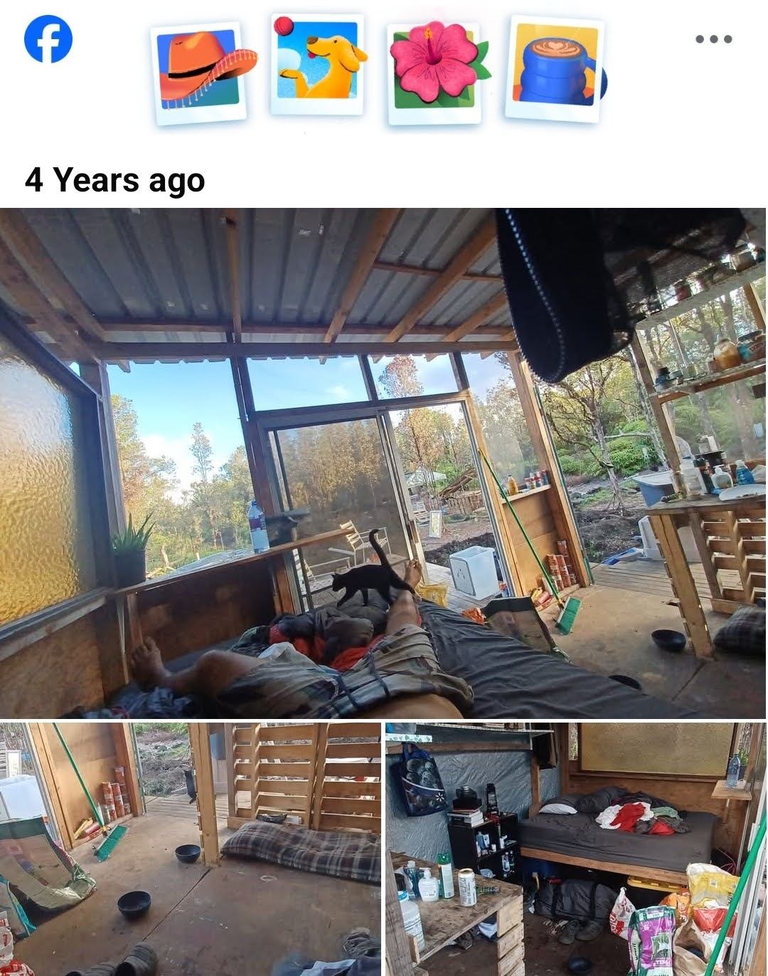 Deck and interior looking into trees